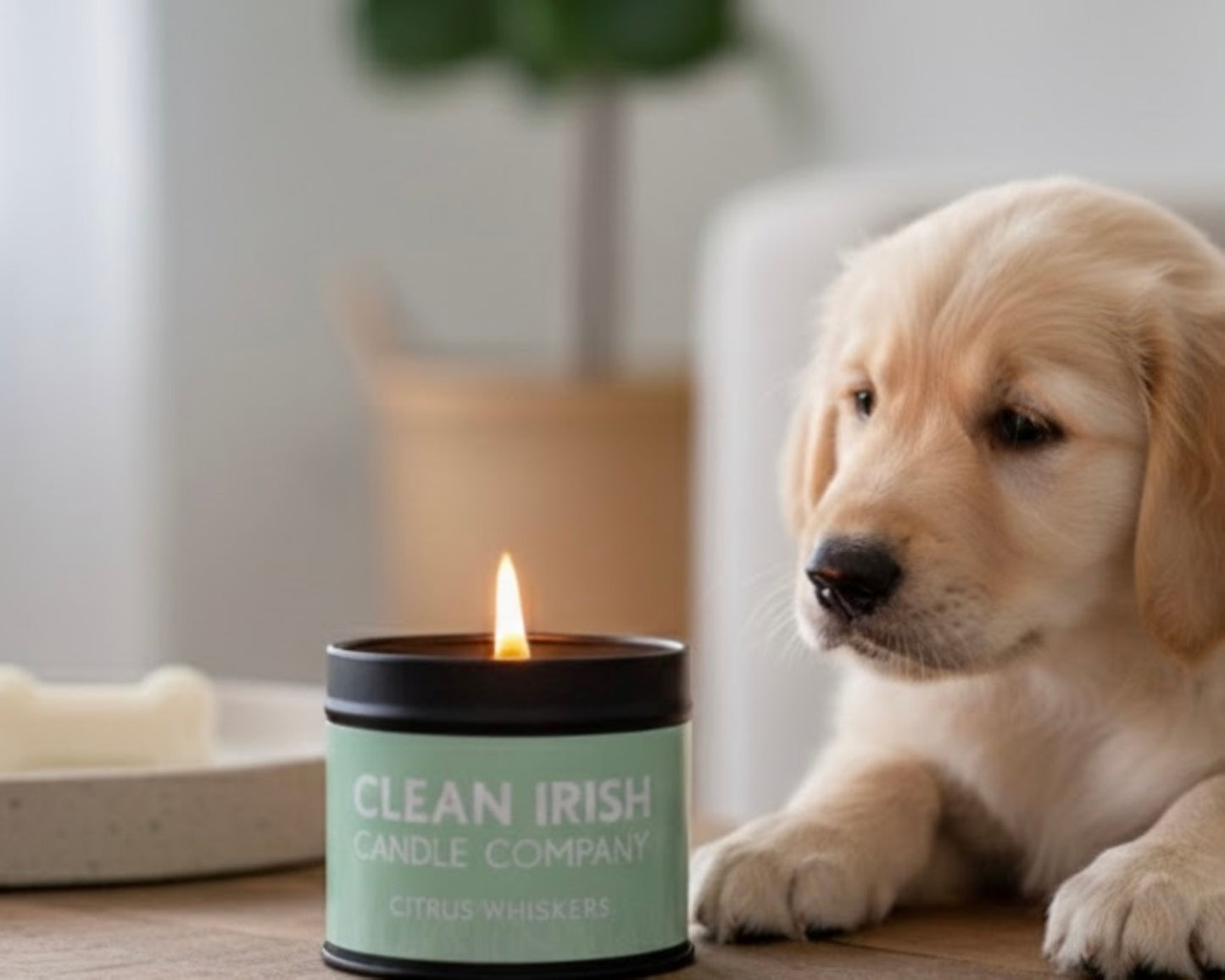 Citrus Whiskers Candle