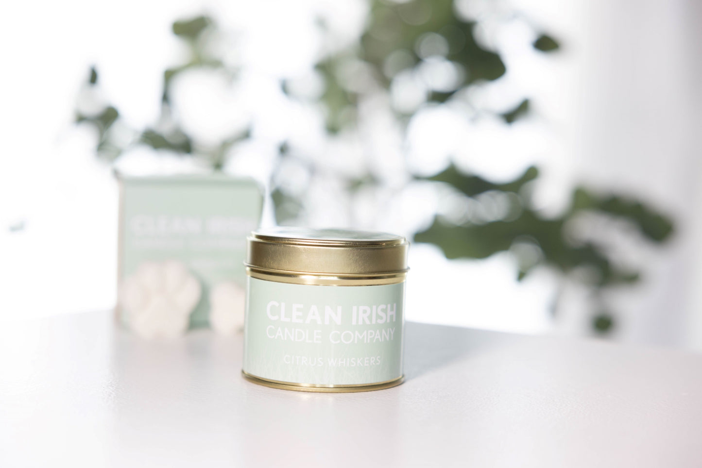 Citrus Whiskers Candle