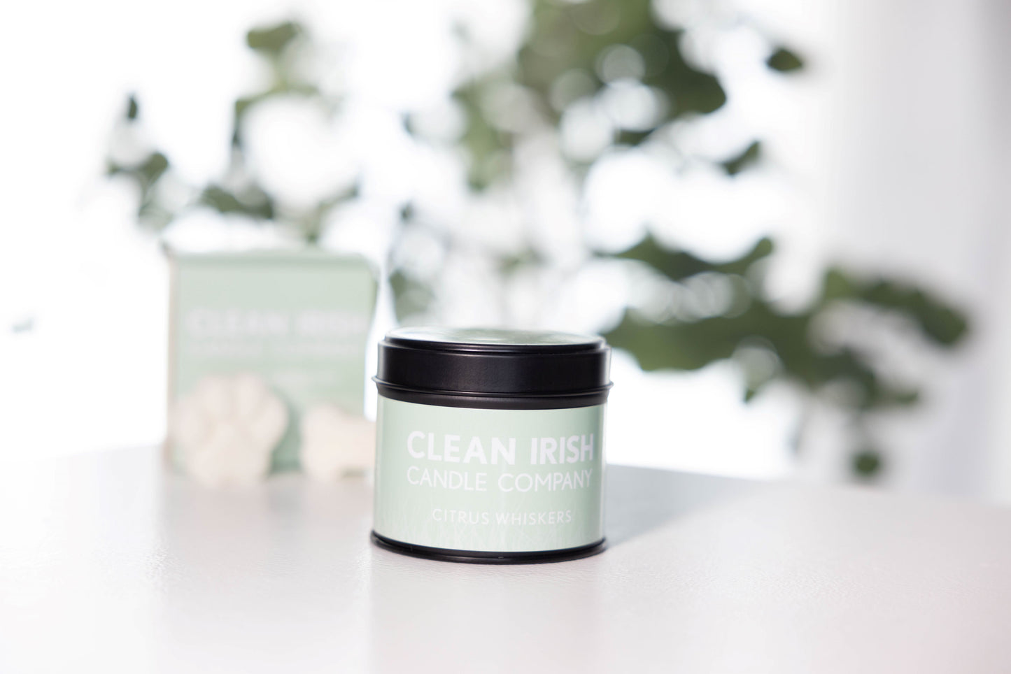 Citrus Whiskers Candle