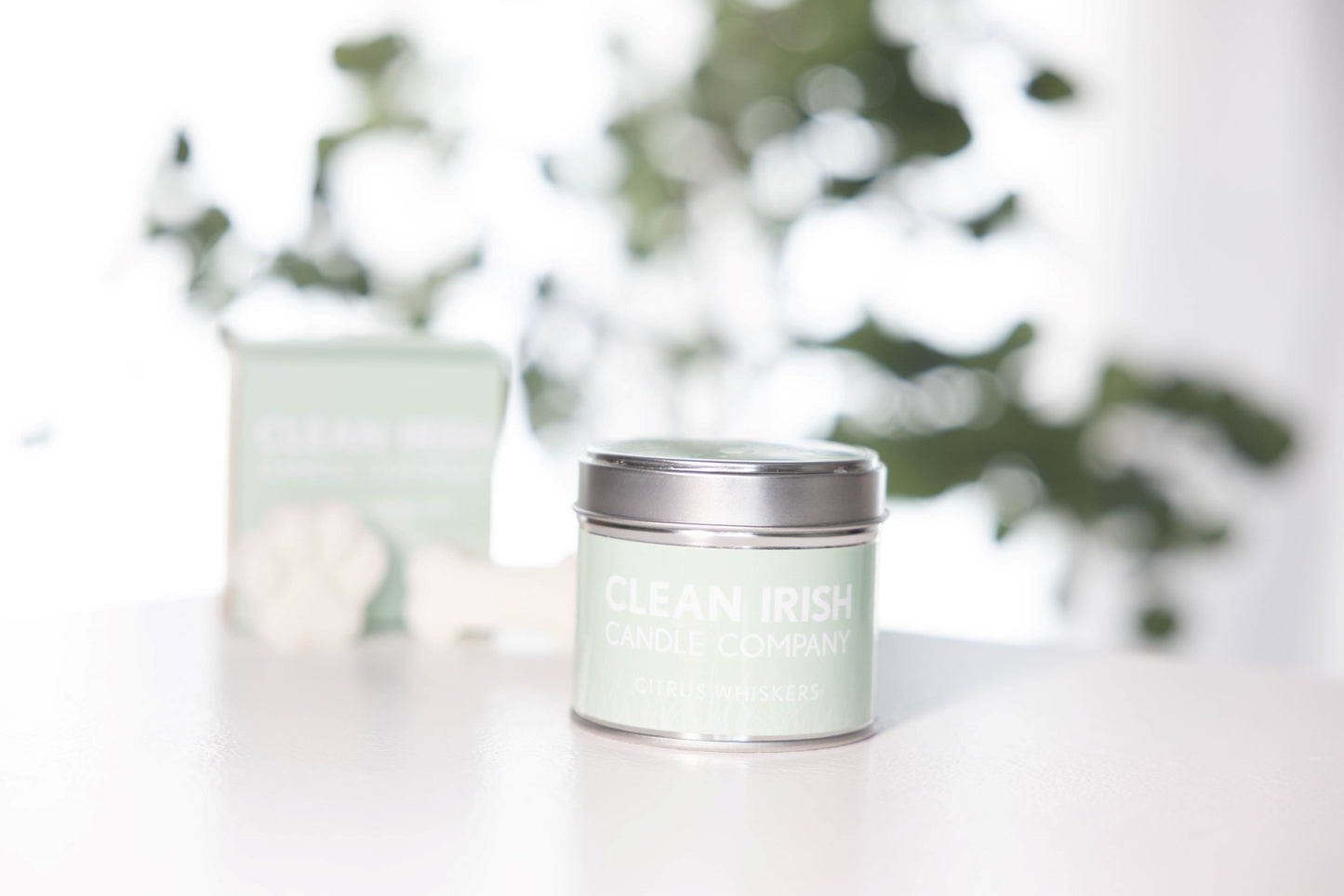 Citrus Whiskers Candle