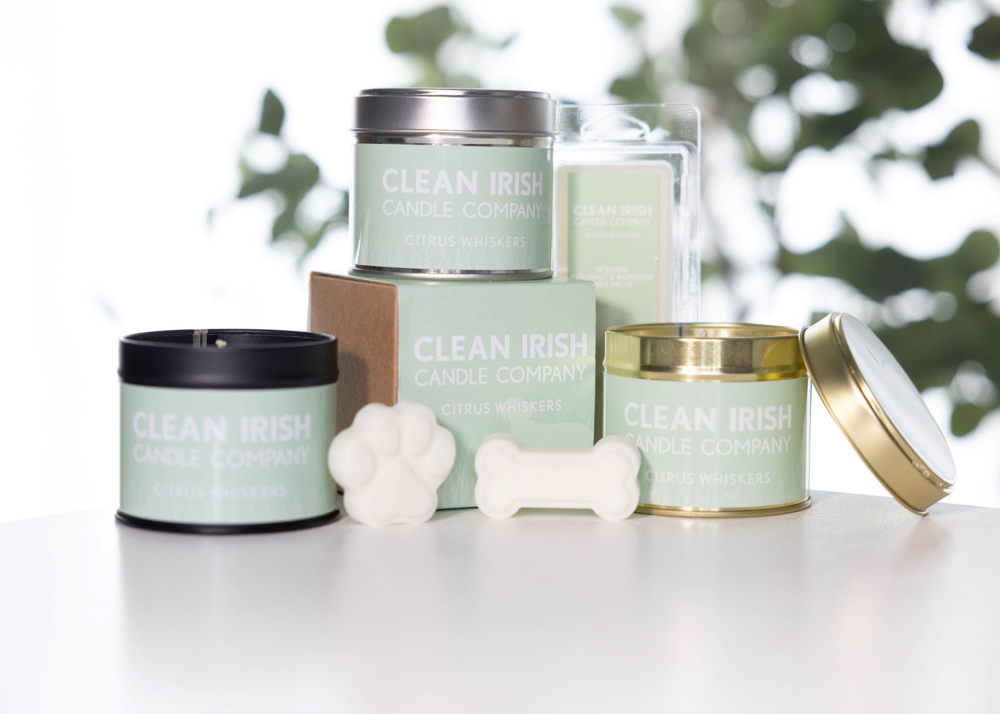 Citrus Whiskers Candle